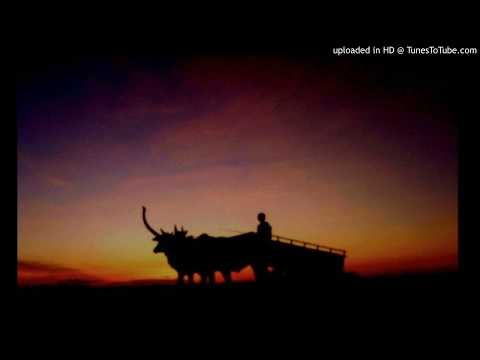 Today's Tango Is... Tristeza Criolla - Roberto Firpo 16-09-1941