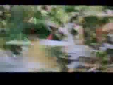 Nini Tsiklauri -Die biestigen Biester-DWK3