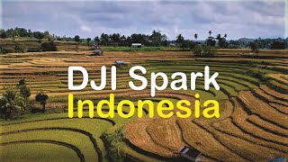 preview picture of video 'Test terbang Drone Dji Spark, di atas Persawahan yang siap Panen'