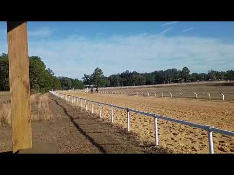 Most Essential (Essential Quality - Dixie Serenade) inside January 3, 2026