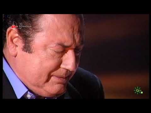 Taranto. Fosforito. 1996