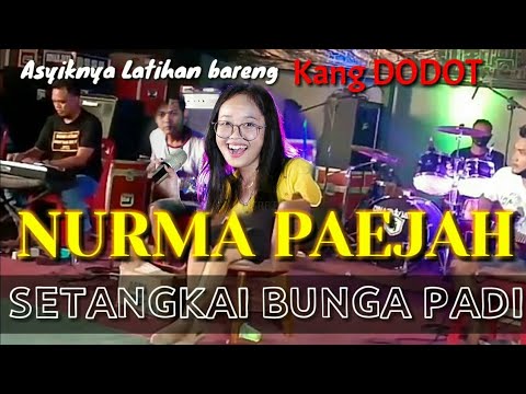 SETANGKAI BUNGA PADI - NURMA PAEJAH feat DODOT