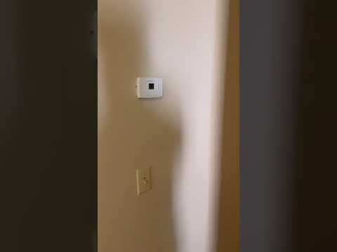 205 1/2 Montgomery - Video 2 of 2