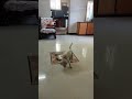 എനിക്ക് എത്ര കുട്ടികളുണ്ടായാലും അവൾ 