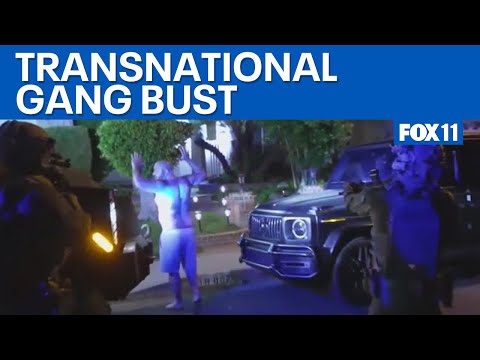 Feds bust transnational gangs in LA  | FOX 11 LA