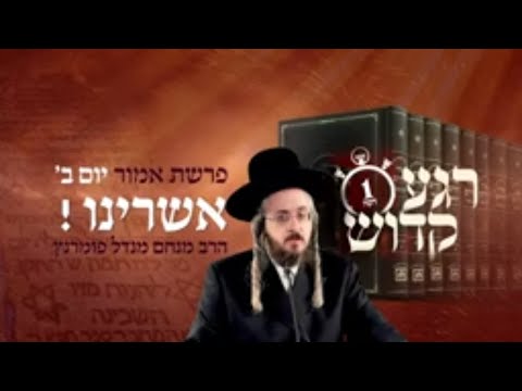 רגע קדוש מהאור החיים - פרשת אמור יום ב'