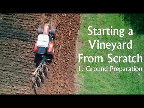 Starting a Vineyard from Scratch Part 1. Ground Preparation.
