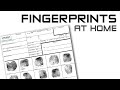 Fingerprints At Home - An Easy How-To Guide
