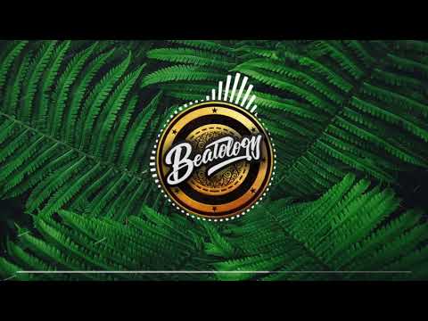 Black Tiger Sex Machine x YOOKiE - Lions