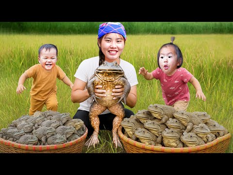 Catch giant frogs cook delicious dishes, harvest boiled duck eggs for children to eat, catch fish