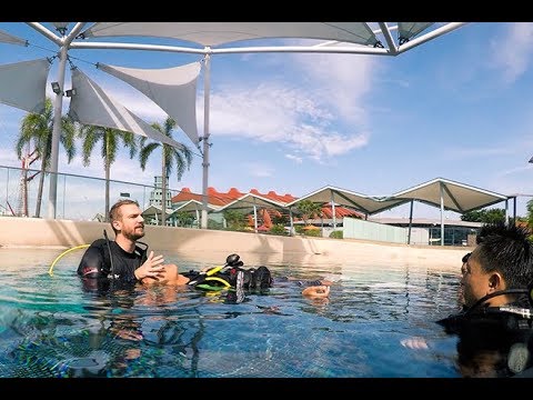 PADI Instructor Development Course at SEA Aquarium