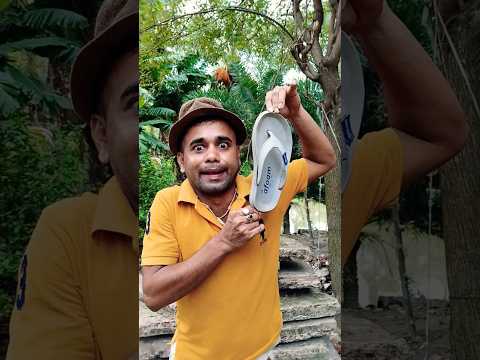 ASMR AMERICA'SORIGINALDUBBLEBUBBLE GUM (3 FRUIT FLAVORS) AND...part3#shorts#2951 🥮😳🤣😂