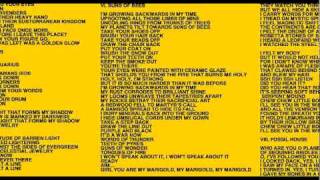 suns of bees by Prince Rama [lyrics on video]