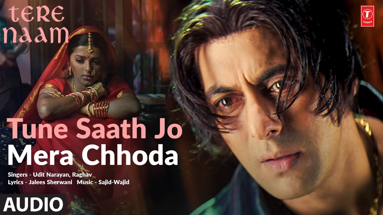 Tune Saath Jo Mera Chhoda (Full Audio) | Tere Naam | Salman Khan| Bhumika| Udit Narayan| Sajid-Wajid