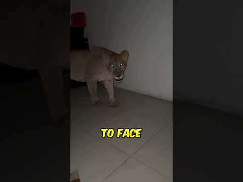 He Just Wanted to Go to The Restroom 👉 (@7sn.hg on IG)