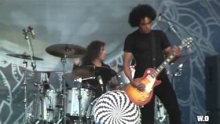 Alice In Chains - A Looking in View Live 2010