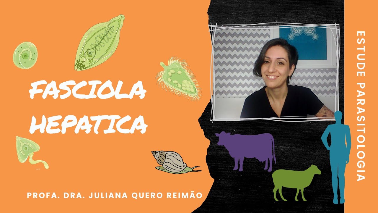Aula sobre Fasciola hepatica (Fasciolose ou Fasciolíase)