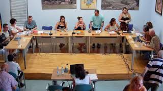 Ple Ordinari 28-07-2026