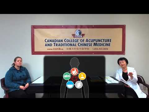 Five Elements Theory in Traditional Chinese Medicine