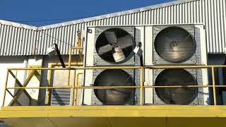 Industrial Exhaust Fan: Working Principle, Features ＆ Application