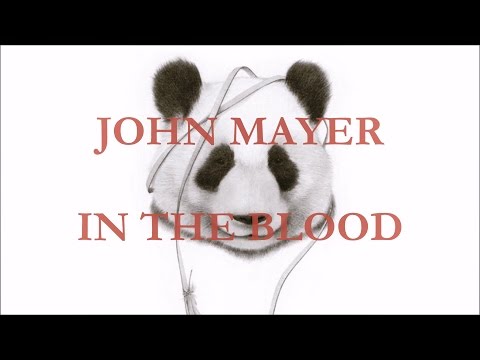 John Mayer - In the Blood (lyrics)
