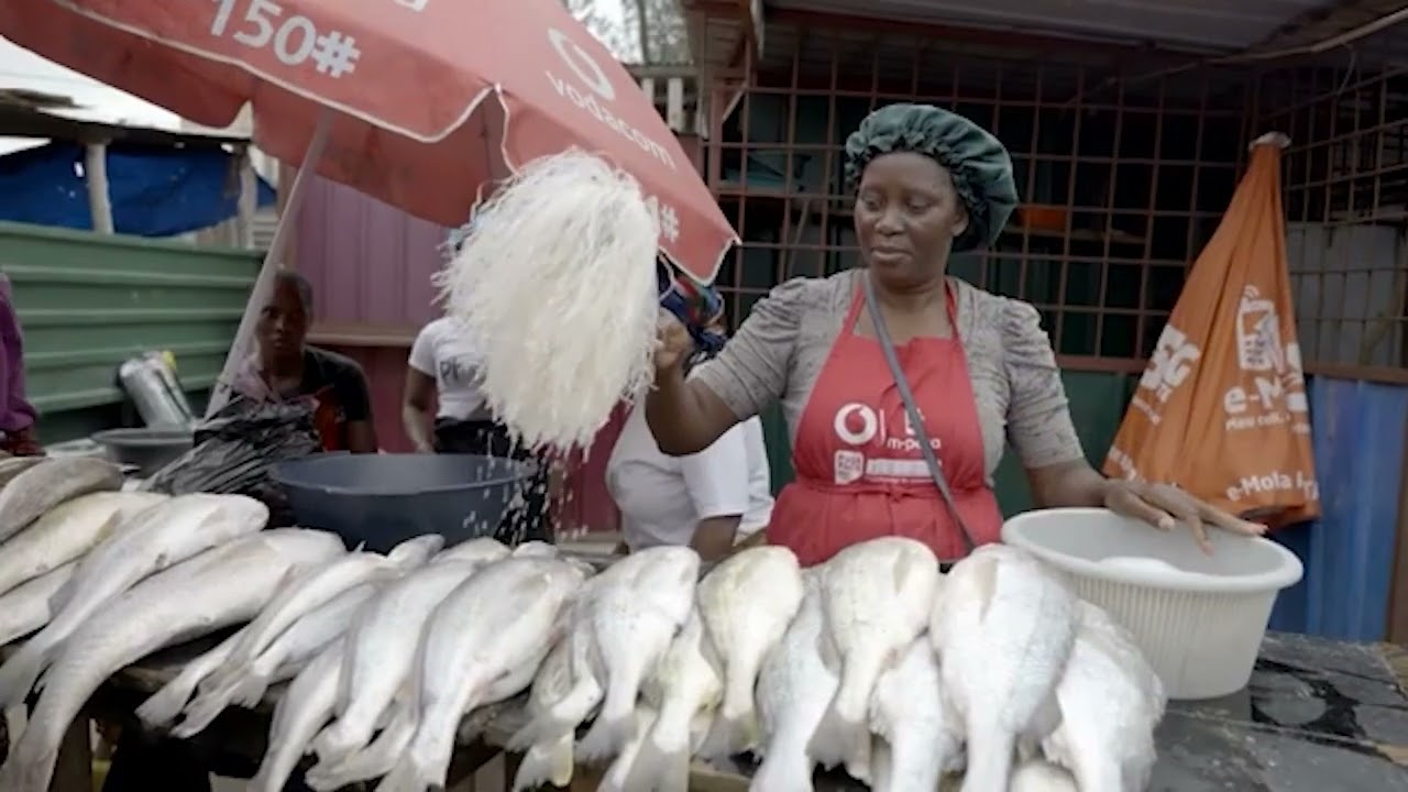 Resilient Coastal Fisheries in Mozambique [Portuguese Sub]