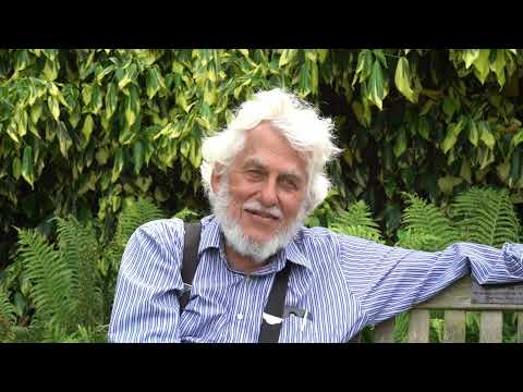 An interview with Bill Unruh - Part II: Black holes and the Hawking effect