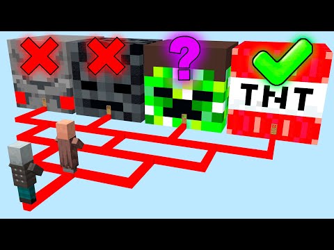 which house will villager choose?