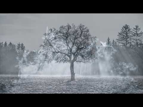 DELVA feat. Nic Frost & Caspar Pan - Winterkind (Official Lyric Video)