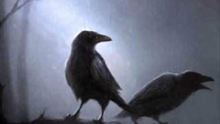 DESIRE_A ride in a dream crow