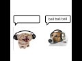 Travis Scott 90210 Sped Up Dog And Cat Meme Ball Ball Ballin Lin