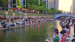 Cheonggyecheon at Night — Seoul Binaural Walk