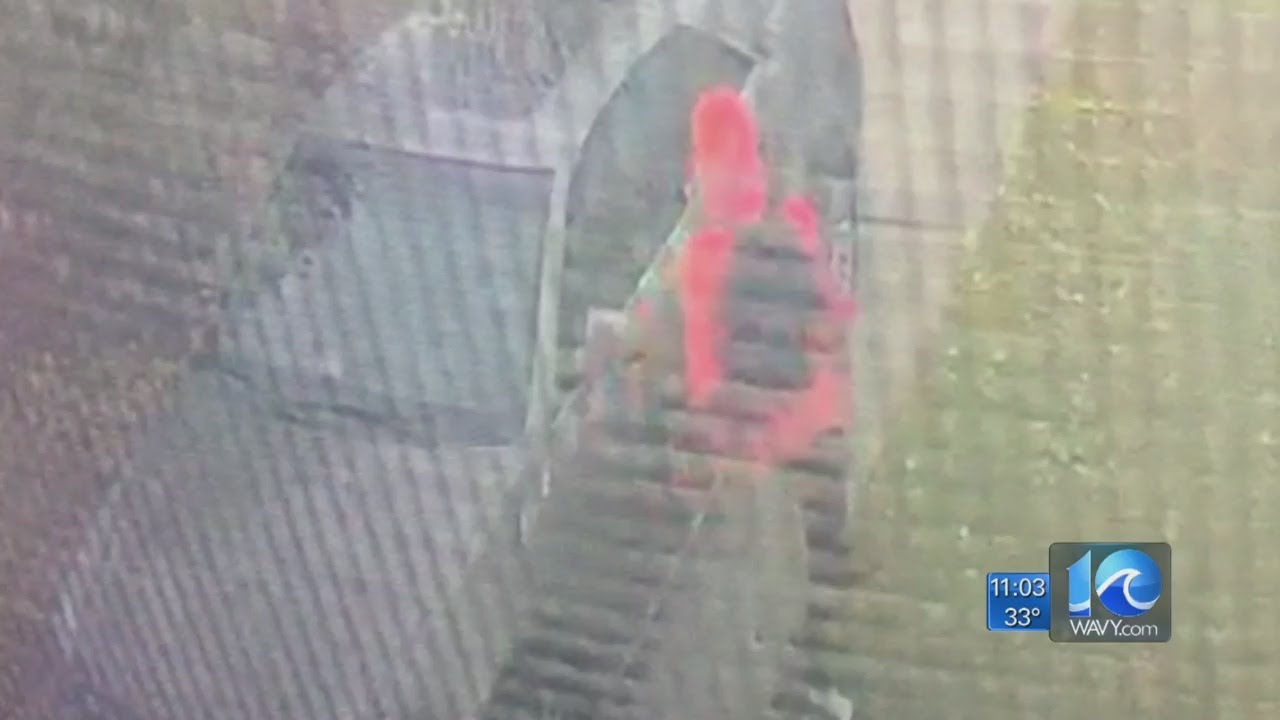 Thief caught on camera stealing purse while victim helps elderly mother