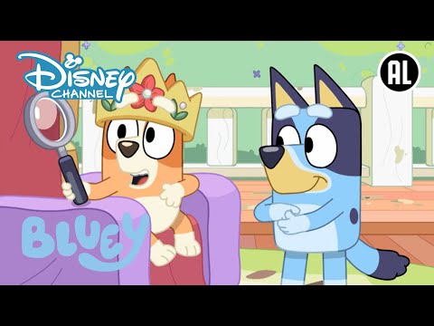 Boek Bluey en Bingo via TVhelden.nl