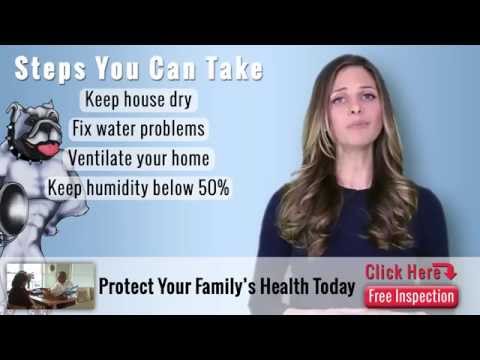 Basement Technologies: Wet Basement Mold