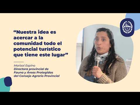 Portada video