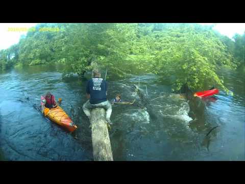 Kayaking trip gone wrong