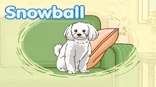 Little Fox - Level 1 - 13. Snowball - Single Stories