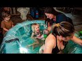 The Birth Of Russell Big Sister Catches Her Sibling Surprise Gender