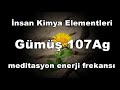 Gümüş 107Ag - İnsan Kimya Elementleri