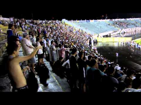Comercial-SP 1 x 2 Botafogo-SP - Comemoração do gol da vitória premeditado das arquibancadas.