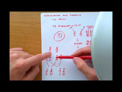 Introduzione alla genetica