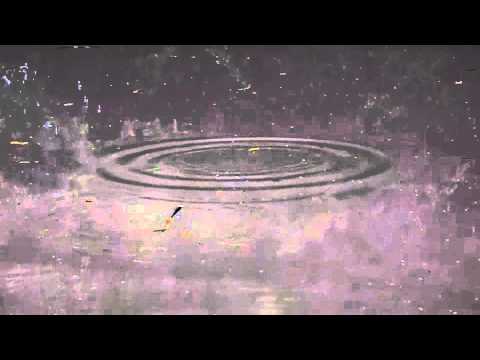 Canal roach lift method