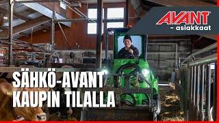 Venta de Avant e527 cargadora multifuncional - Imagen 4 | Machineryline AR Avant e527 cargadora multifuncional nueva | Imagen 4 - Machineryline