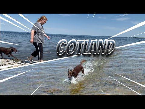 Mit dem selbstausgebautem Camper nach Gotland/Schweden