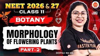 Morphology of Flowering Plants - Part 2