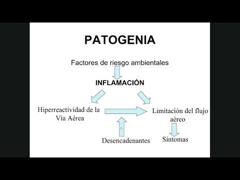 Me Fastidia video