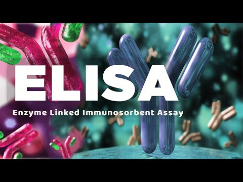 ELISA | Enzyme linked immunosorbent assay