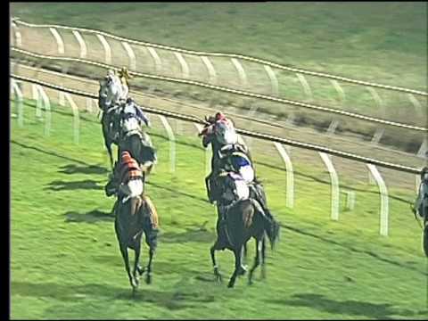 Galoppo 07/02/2017 - 5ª corsa