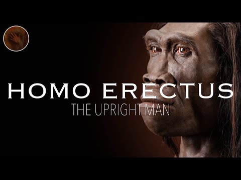 Homo Erectus: 'The Upright Man' | Prehistoric Humans Documentary